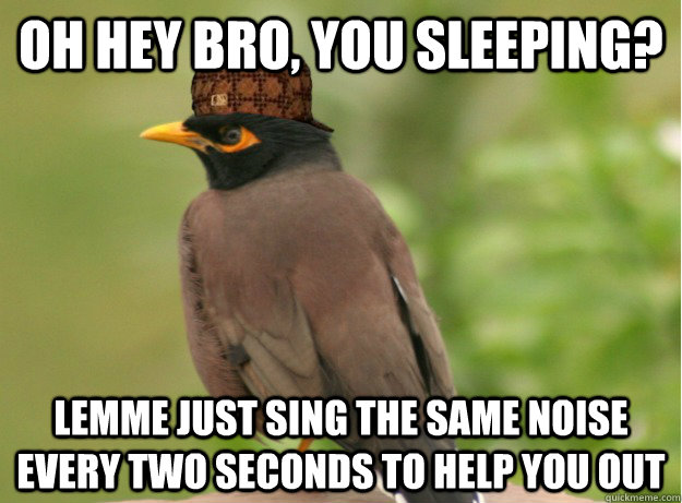 Oh hey bro, you sleeping? Lemme just sing the same noise every two seconds to help you out - Oh hey bro, you sleeping? Lemme just sing the same noise every two seconds to help you out  Misc