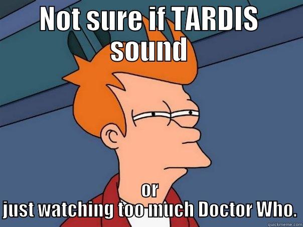 NOT SURE IF TARDIS SOUND OR JUST WATCHING TOO MUCH DOCTOR WHO. Futurama Fry