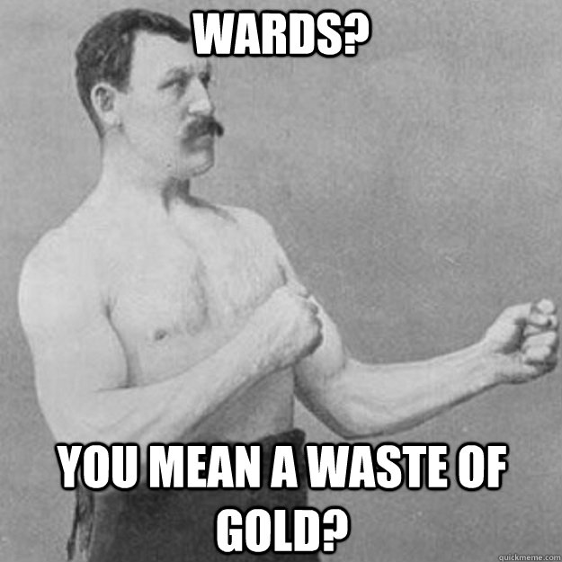 Wards? You mean a waste of gold?  overly manly man