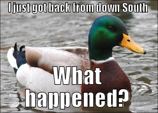 just got back - I JUST GOT BACK FROM DOWN SOUTH WHAT HAPPENED? Actual Advice Mallard