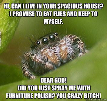 Hi, can i live in your spacious house? I promise to eat flies and keep to myself. dear god!
 did you just spray me with furniture polish? you crazy bitch!  
