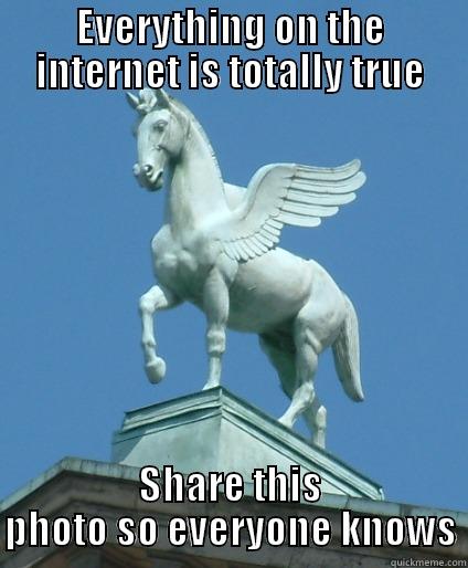 Totally True Pegasus - EVERYTHING ON THE INTERNET IS TOTALLY TRUE SHARE THIS PHOTO SO EVERYONE KNOWS Misc