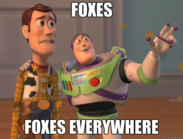 Foxes Foxes everywhere  Toy Story