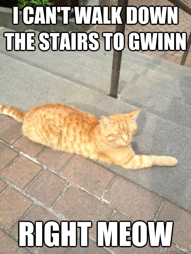 I can't walk down the stairs to Gwinn Right Meow - I can't walk down the stairs to Gwinn Right Meow  Lazy and Proud Campus Cat