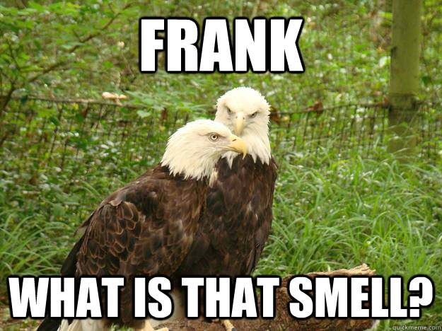 Frank What is that smell? - Frank What is that smell?  What the hell Frank