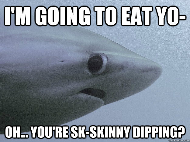 I'm going to eat yo- oh... you're sk-skinny dipping?  Shy Shark