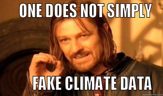     ONE DOES NOT SIMPLY          FAKE CLIMATE DATA Boromir