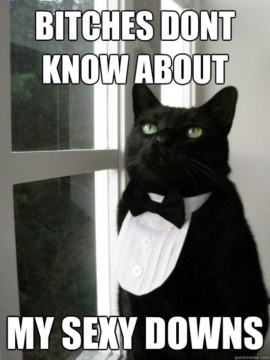 Bitches dont know about my sexy downs  Classy cat