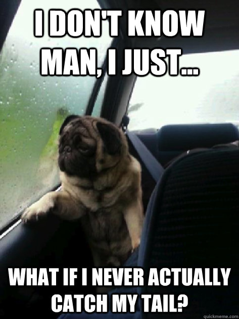 I don't know man, I just... what if i never actually catch my tail?  Introspective Pug