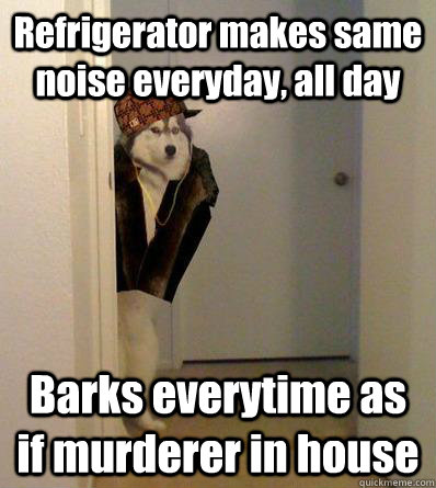 Refrigerator makes same noise everyday, all day Barks everytime as if murderer in house  Scumbag dog