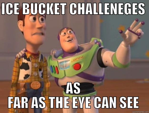 ICE BUCKET CHALLENGES - ICE BUCKET CHALLENEGES  AS FAR AS THE EYE CAN SEE Toy Story