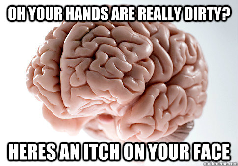 Oh your hands are really dirty? heres an itch on your face  Scumbag Brain