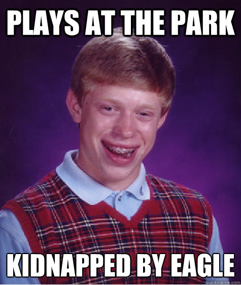 Plays at the park kidnapped by eagle  Bad Luck Brian