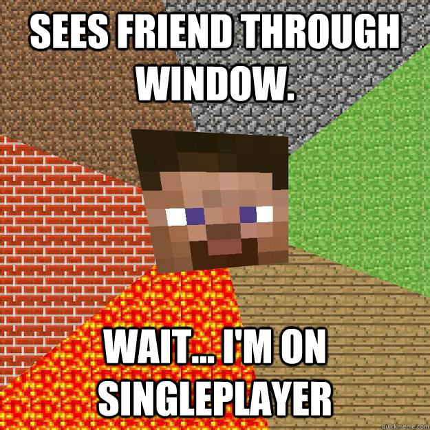 Sees friend through window. Wait... I'm on singleplayer  Minecraft