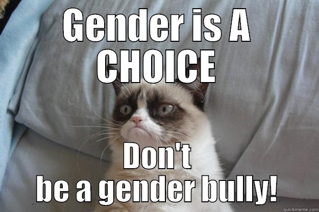 Grumpy Feminist Cat - GENDER IS A CHOICE DON'T BE A GENDER BULLY! Grumpy Cat