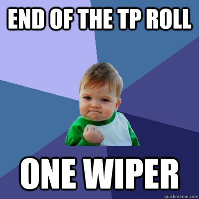 End of the TP roll One wiper  Success Kid