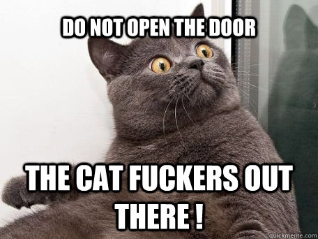 do not open the door  the cat fuckers out there !  conspiracy cat