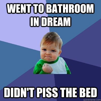 Went to bathroom in dream Didn't piss the bed  Success Kid