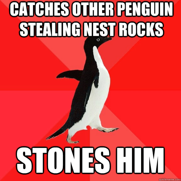 catches other penguin stealing nest rocks stones him  Socially Awesome Penguin