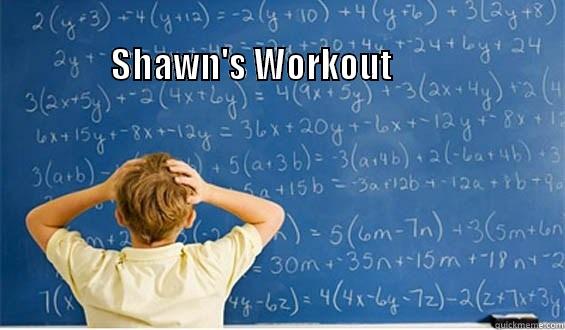 Shawn's workout -                                                                             SHAWN'S WORKOUT          Misc