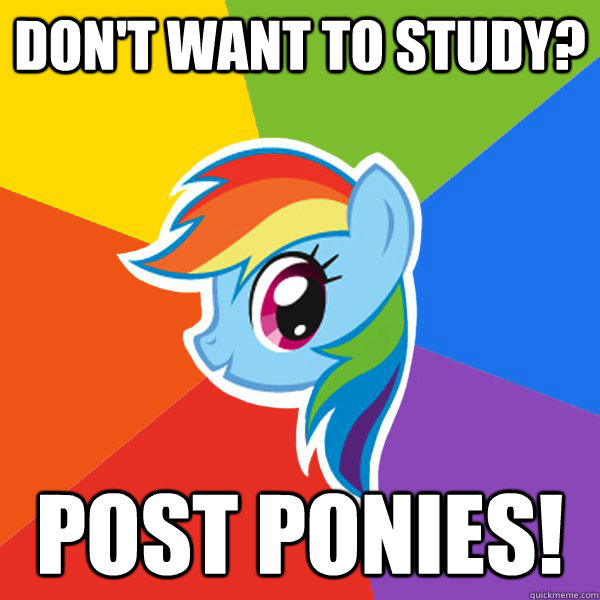 Don't want to study? Post Ponies!  Rainbow Dash