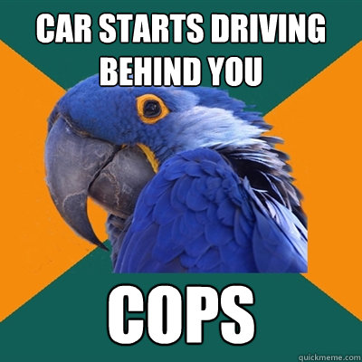 Car starts driving behind you Cops - Car starts driving behind you Cops  Paranoid Parrot