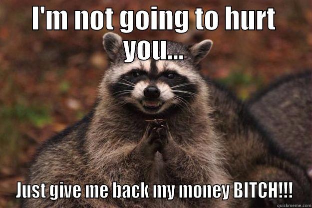 I'M NOT GOING TO HURT YOU... JUST GIVE ME BACK MY MONEY BITCH!!! Evil Plotting Raccoon