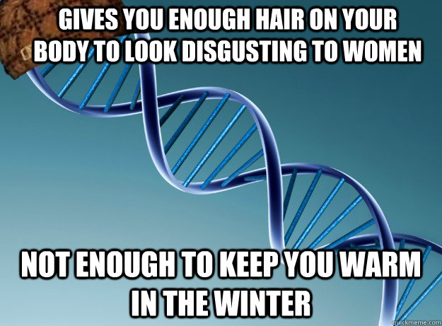 gives you enough hair on your body to look disgusting to women not enough to keep you warm in the winter  Scumbag Genetics