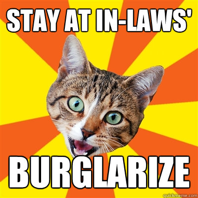 STAY AT IN-LAWS' BURGLARIZE  Bad Advice Cat