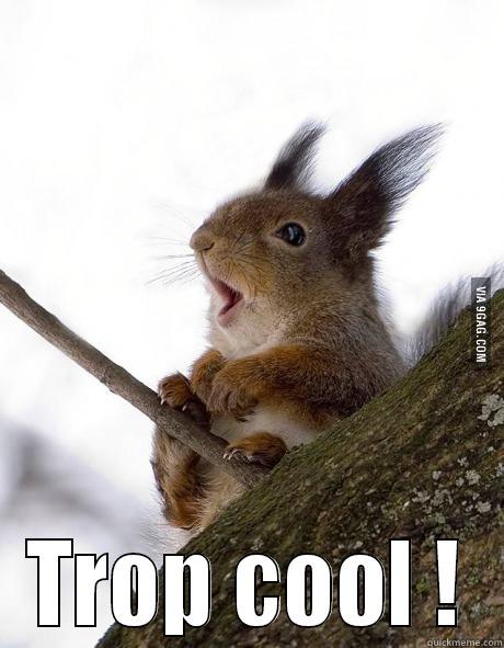 Funny squirrel -  TROP COOL ! Misc