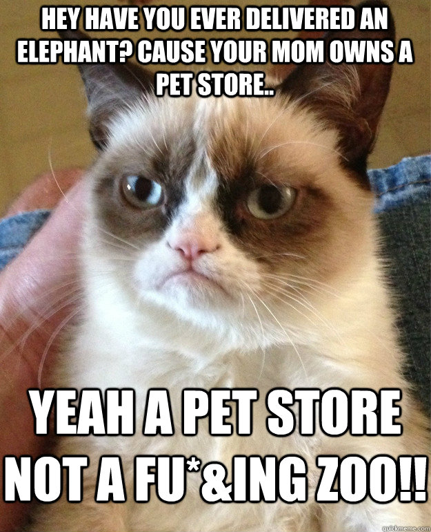 Hey have you ever delivered an elephant? cause your mom owns a pet store.. yeah a pet store not a fu*&ing zoo!!  Grumpy Cat