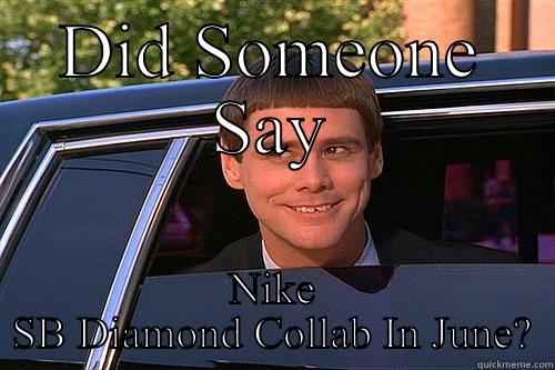 DID SOMEONE SAY NIKE SB DIAMOND COLLAB IN JUNE? Misc