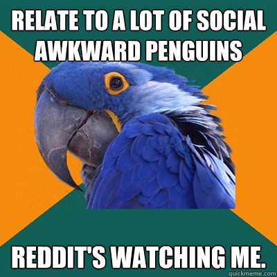 Relate to a lot of Social Awkward Penguins Reddit's watching me.  Paranoid Parrot