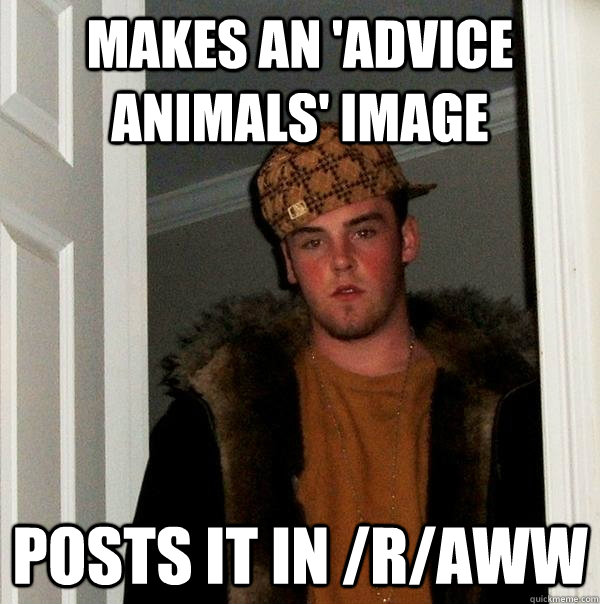 Makes an 'advice animals' image posts it in /r/aww - Makes an 'advice animals' image posts it in /r/aww  Scumbag Steve