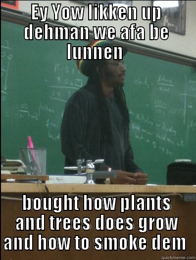 EY YOW LIKKEN UP DEHMAN WE AFA BE LUNNEN  BOUGHT HOW PLANTS AND TREES DOES GROW AND HOW TO SMOKE DEM  Rasta Science Teacher