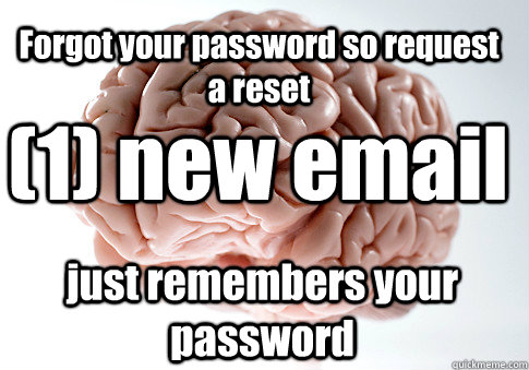 Forgot your password so request a reset (1) new email just remembers your password  Scumbag Brain