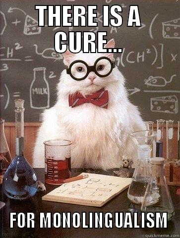 THERE IS A CURE... FOR MONOLINGUALISM Chemistry Cat