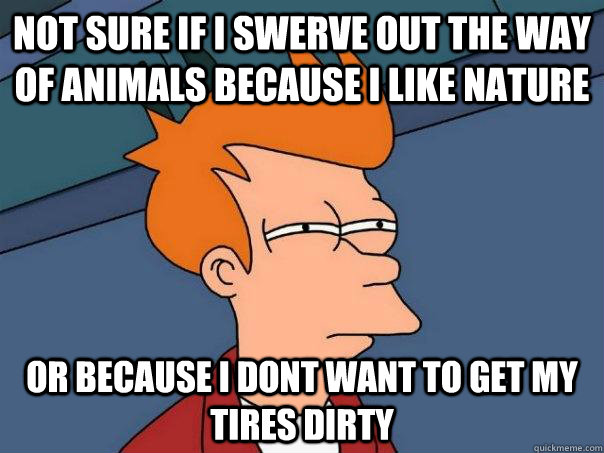 Not sure if i swerve out the way of animals because i like nature Or because i dont want to get my tires dirty - Not sure if i swerve out the way of animals because i like nature Or because i dont want to get my tires dirty  Futurama Fry