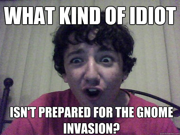 What kind of idiot isn't prepared for the gnome invasion? - What kind of idiot isn't prepared for the gnome invasion?  Judgement Josh