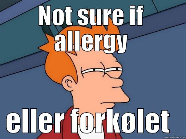 NOT SURE IF ALLERGY ELLER FORKØLET  Futurama Fry