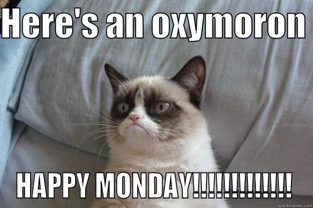 HERE'S AN OXYMORON  HAPPY MONDAY!!!!!!!!!!!!! Grumpy Cat