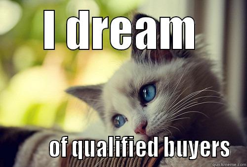 I DREAM          OF QUALIFIED BUYERS First World Problems Cat