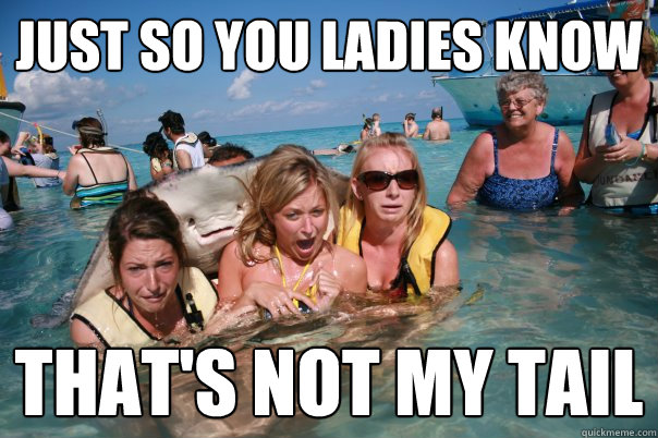 Just so you ladies know that's not my tail  Pervert Stingray