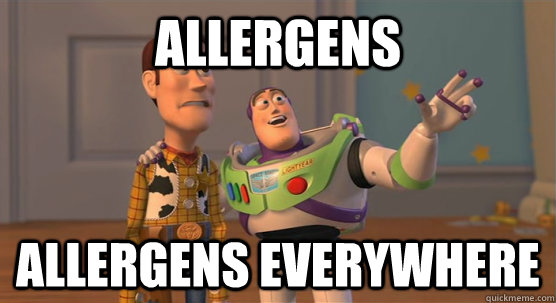 Allergens Allergens Everywhere  Toy Story Everywhere