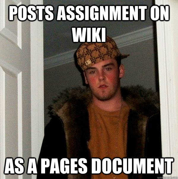 Posts assignment on wiki As a pages document  Scumbag Steve