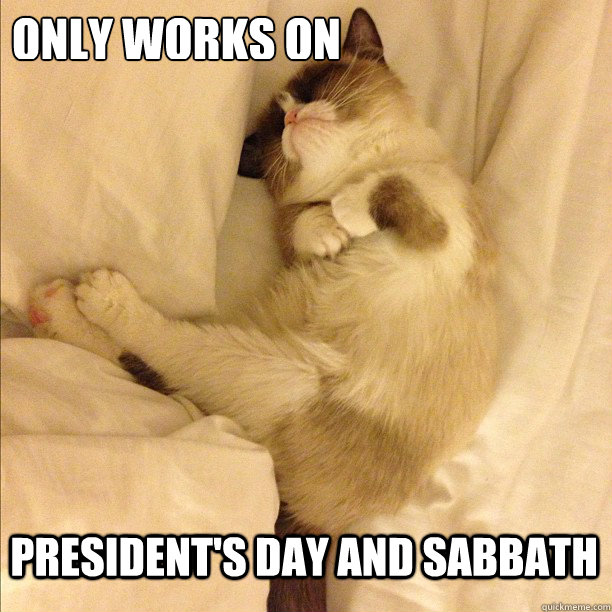 only works on president's day and sabbath  Sleeping Grumpy Cat