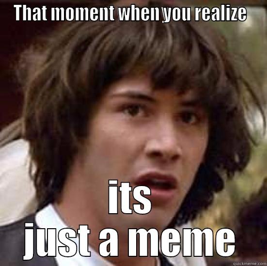 THAT MOMENT WHEN YOU REALIZE  ITS JUST A MEME conspiracy keanu