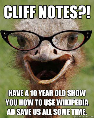 Cliff Notes?! HAVE A 10 year old show you how to use wikipedia ad save us all some time.   Judgmental Bookseller Ostrich