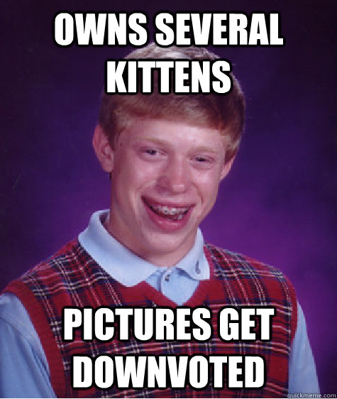 Owns several kittens Pictures get downvoted  Bad Luck Brian