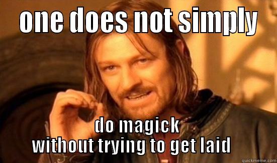  ONE DOES NOT SIMPLY DO MAGICK WITHOUT TRYING TO GET LAID    Boromir